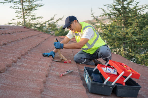 Best Gutter Installation and Roofing  in Tuntutuli, AK